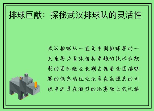 排球巨献：探秘武汉排球队的灵活性