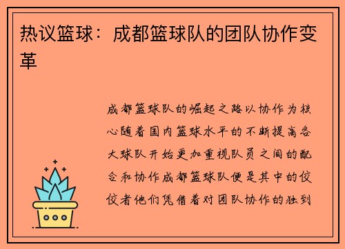 热议篮球：成都篮球队的团队协作变革